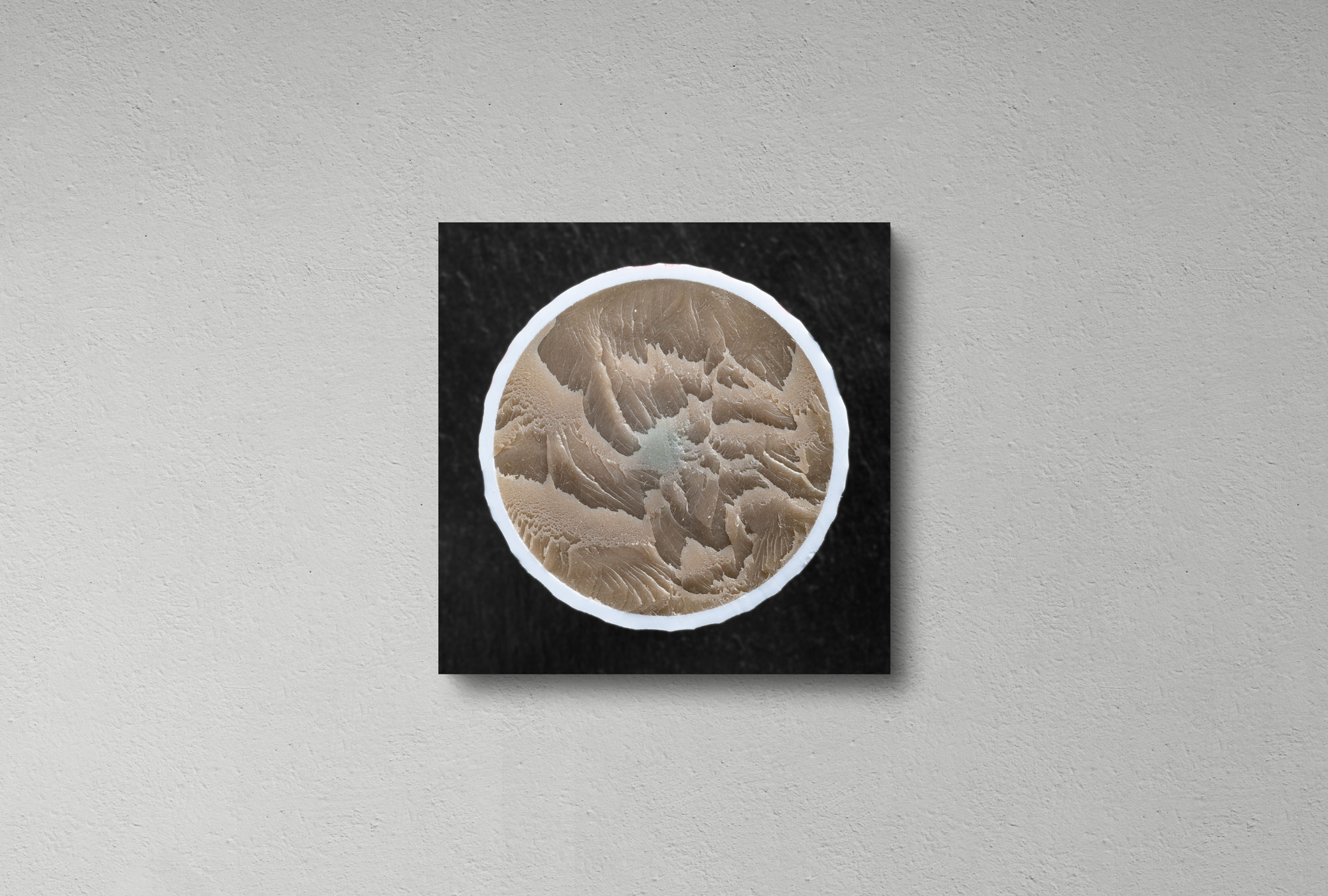 Fineartprint eines halbierten umbrafarbenen Golfballs