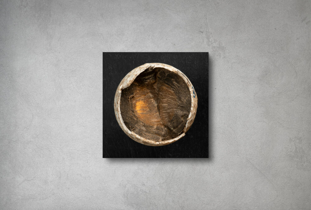 Fineartprint von Birdiehook mit einem verletzten Titleist NXT Golfball