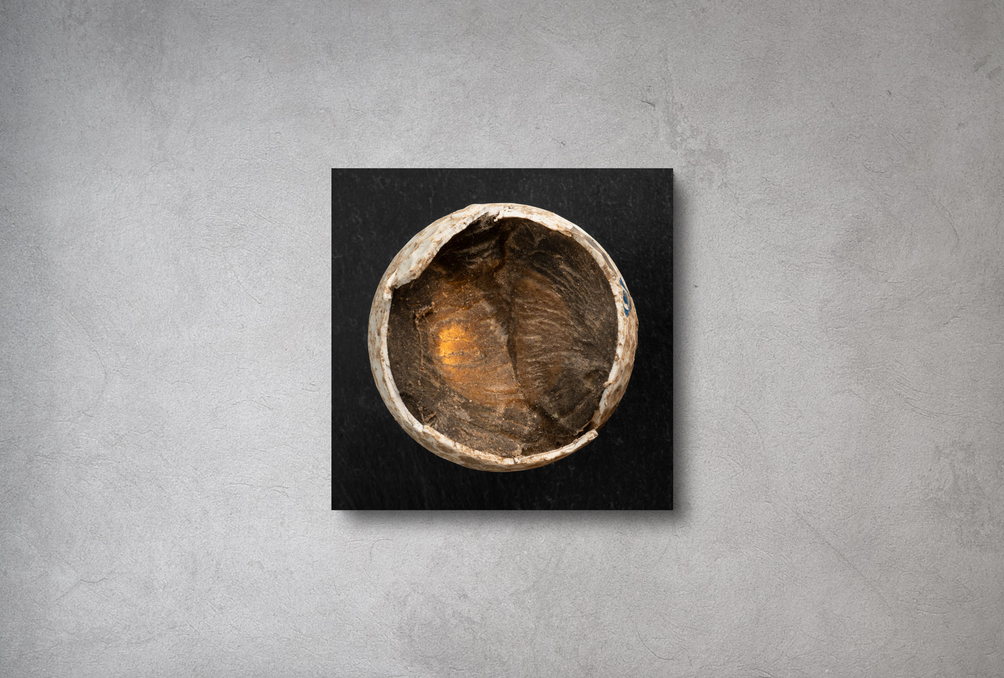 Fineartprint von Birdiehook mit einem verletzten Titleist NXT Golfball